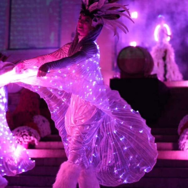 Le Monde de Félix - Spectacle de magie - spectacle de feu - jonglage lumineux - sculpture sur ballon - sculpture de ballon - Lyon Rhône-Alpes France